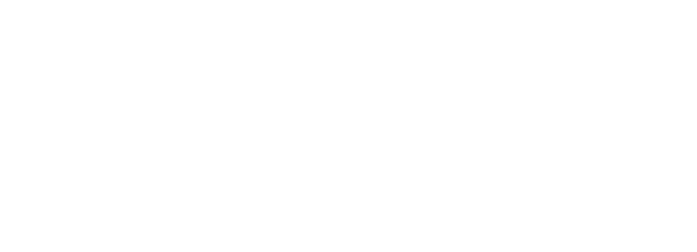 Qtorse